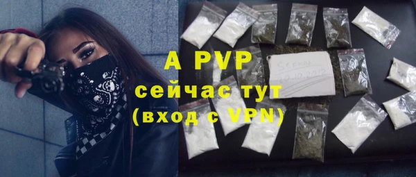 прущая мука Бородино