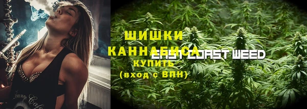 прущая мука Бородино