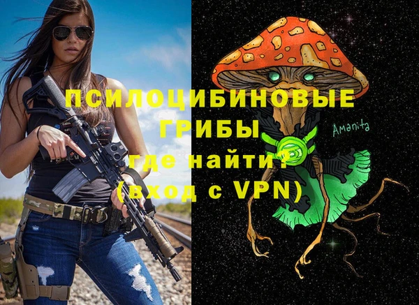 спиды Бронницы
